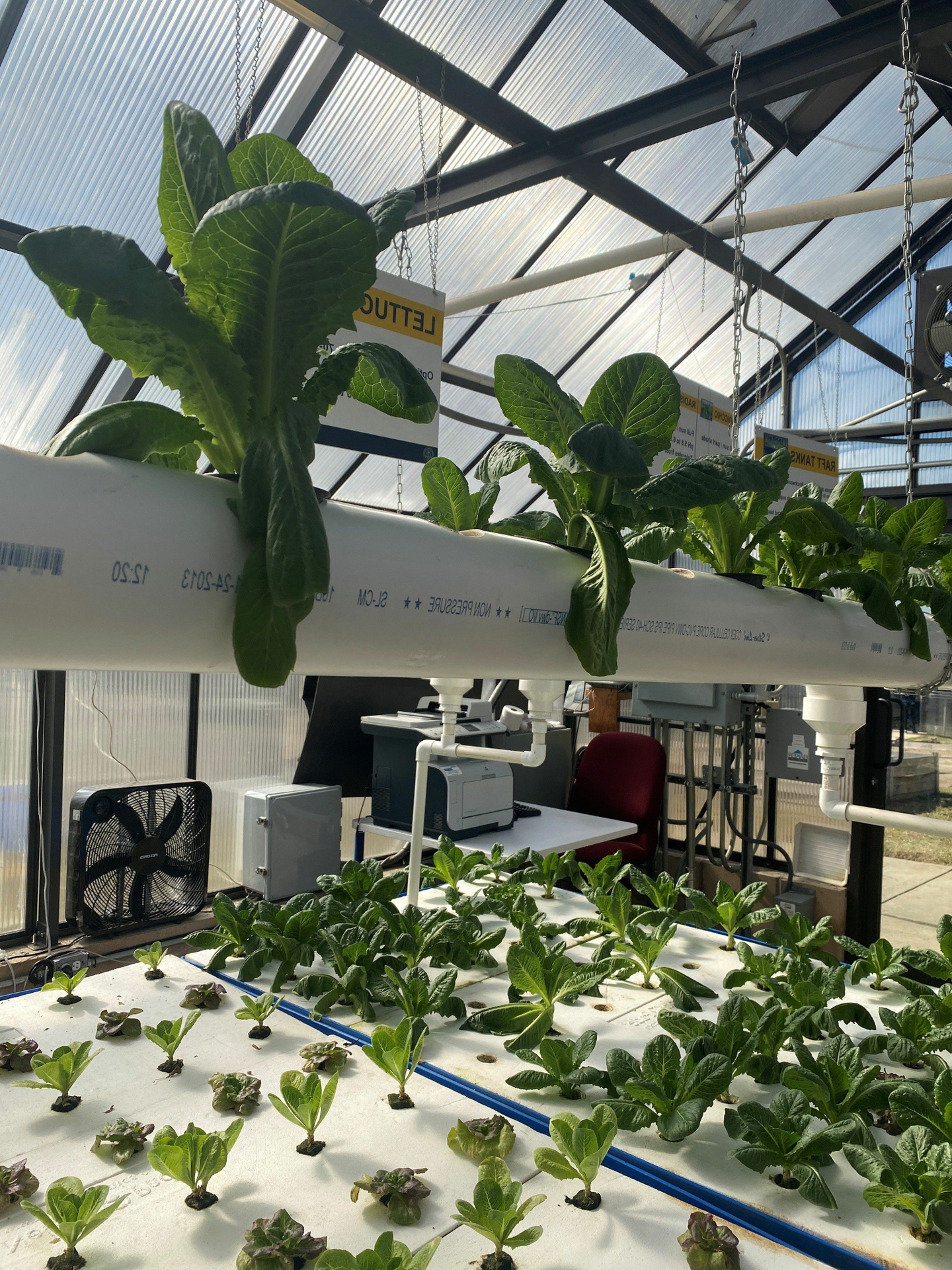 JCSU_Greenhouse