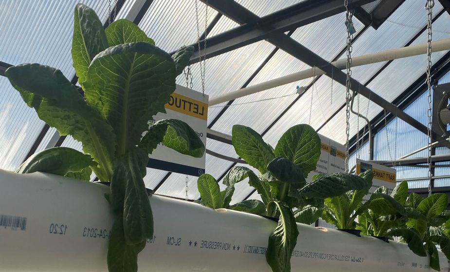 JCSU_Greenhouse