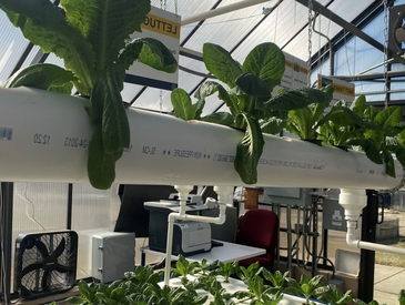 JCSU’s Sustainability Plans will Prosper with Aquaponics Greenhouses from Blue Cross NC