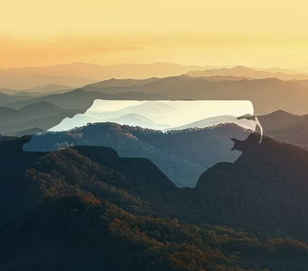 Screenshot 2025-03-06 153815