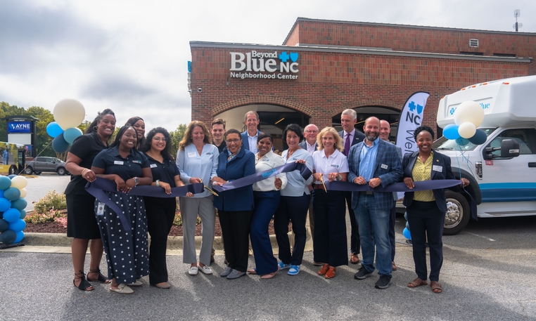 Beyond Blue Greenville 08330