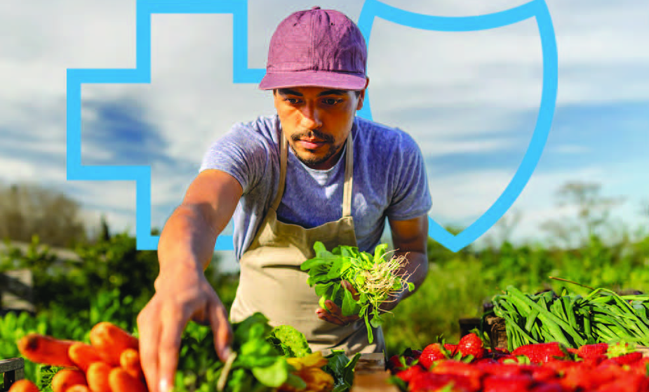 360x275 Food is Medicine_Thumbnails_Page_1
