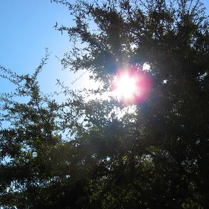 Considera tu corazón para mantenerte sano y seguro durante una catástrofe natural y después de una