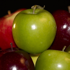 Apples - 4 types closeup