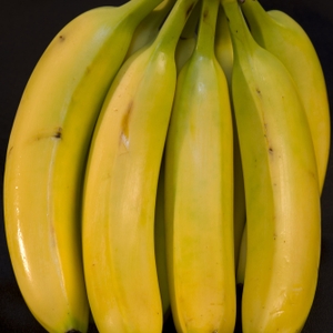 Bananas - Bunch