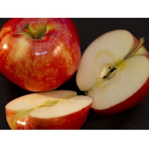 Apple - Gala, whole with sliced, red