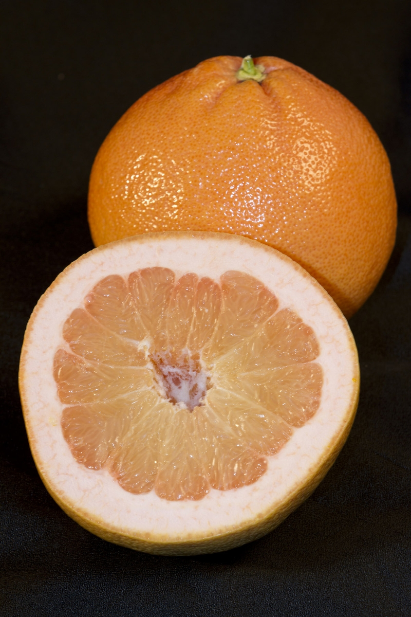 Grapefruit - whole with half