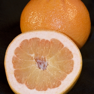 Grapefruit - whole with half