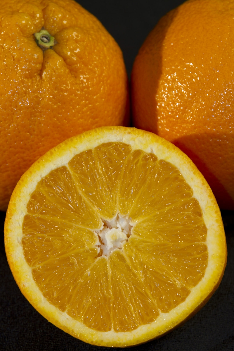 Oranges - close up on half with whole