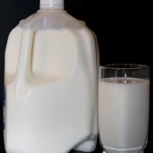 Milk LowFat in glass with full jug verticle straight on