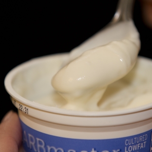 Yogurt LowFat plain in cup held on spoon close up horizontal