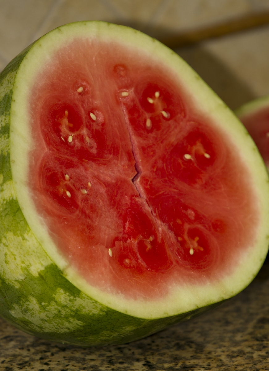 Watermelon Sliced One half Close up