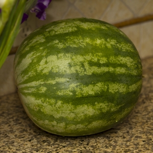 Watermelon Whole