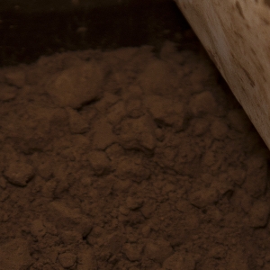 Cocoa Powder close up on powder