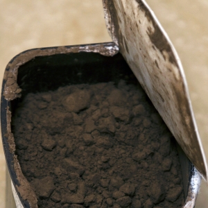 Cocoa Powder close up