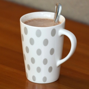 Hot Chocolate in mug horizontal