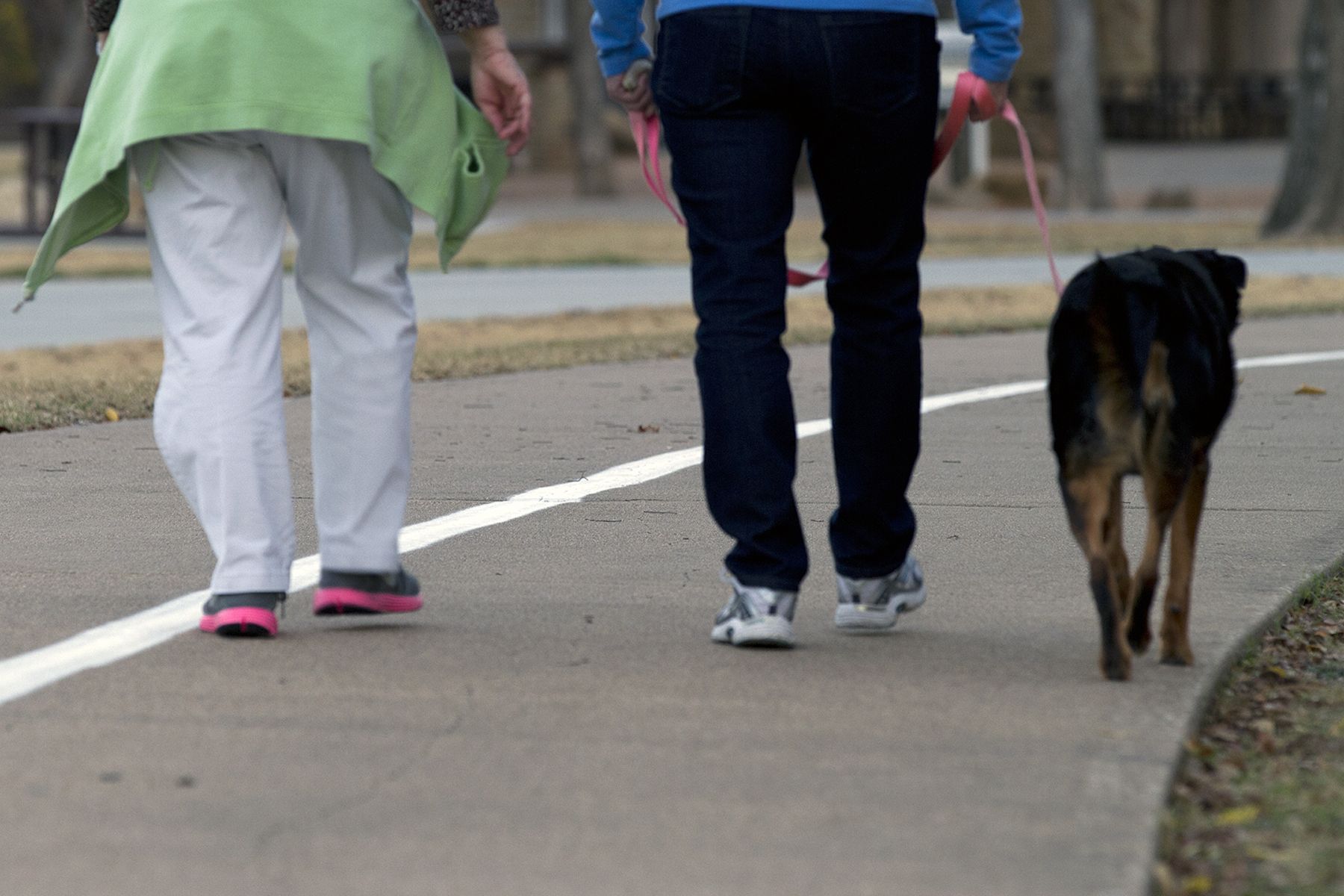 Flu shot - applying bandage