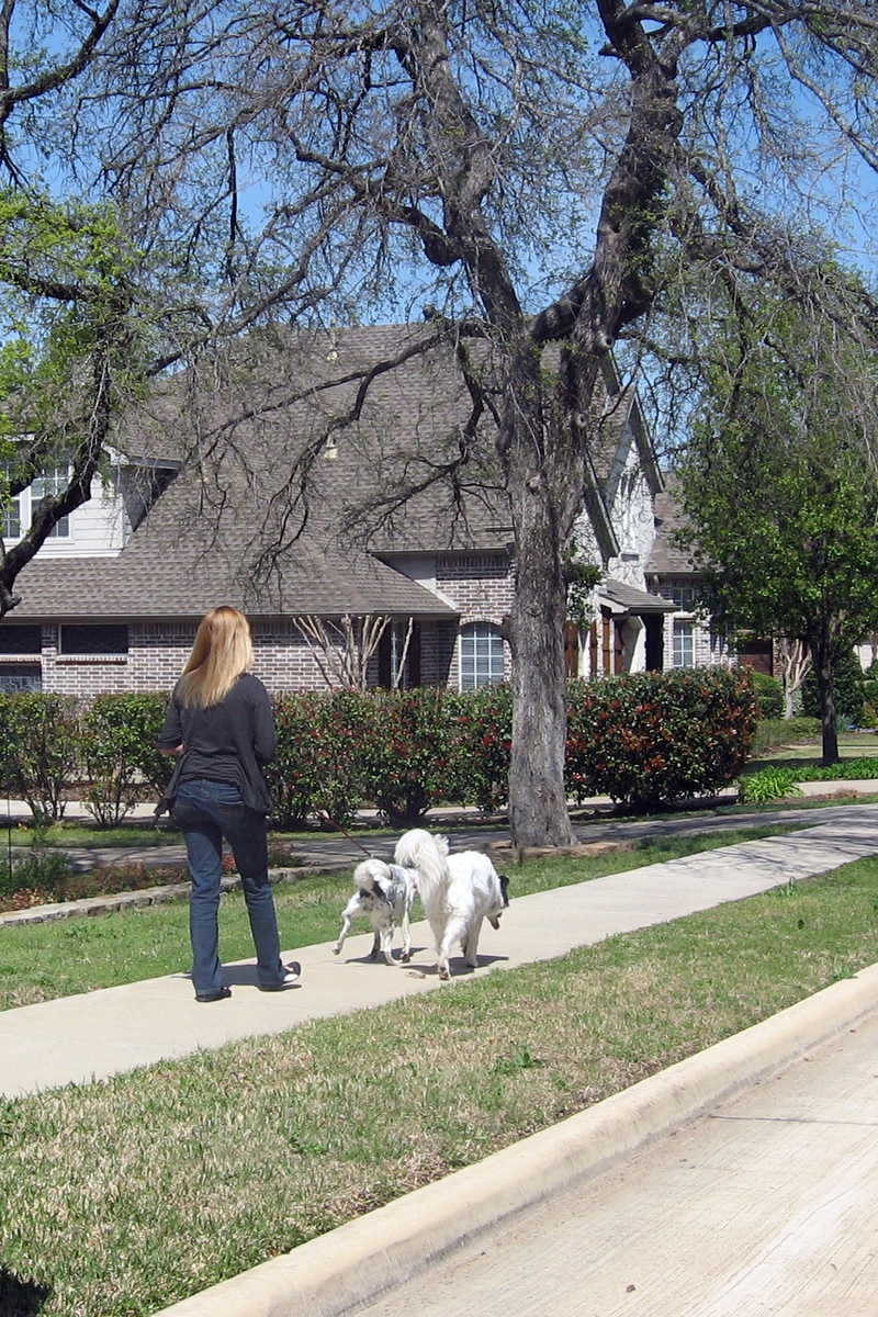dog walker