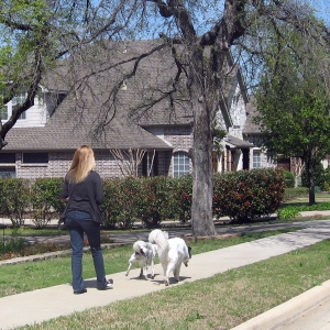 dog walker