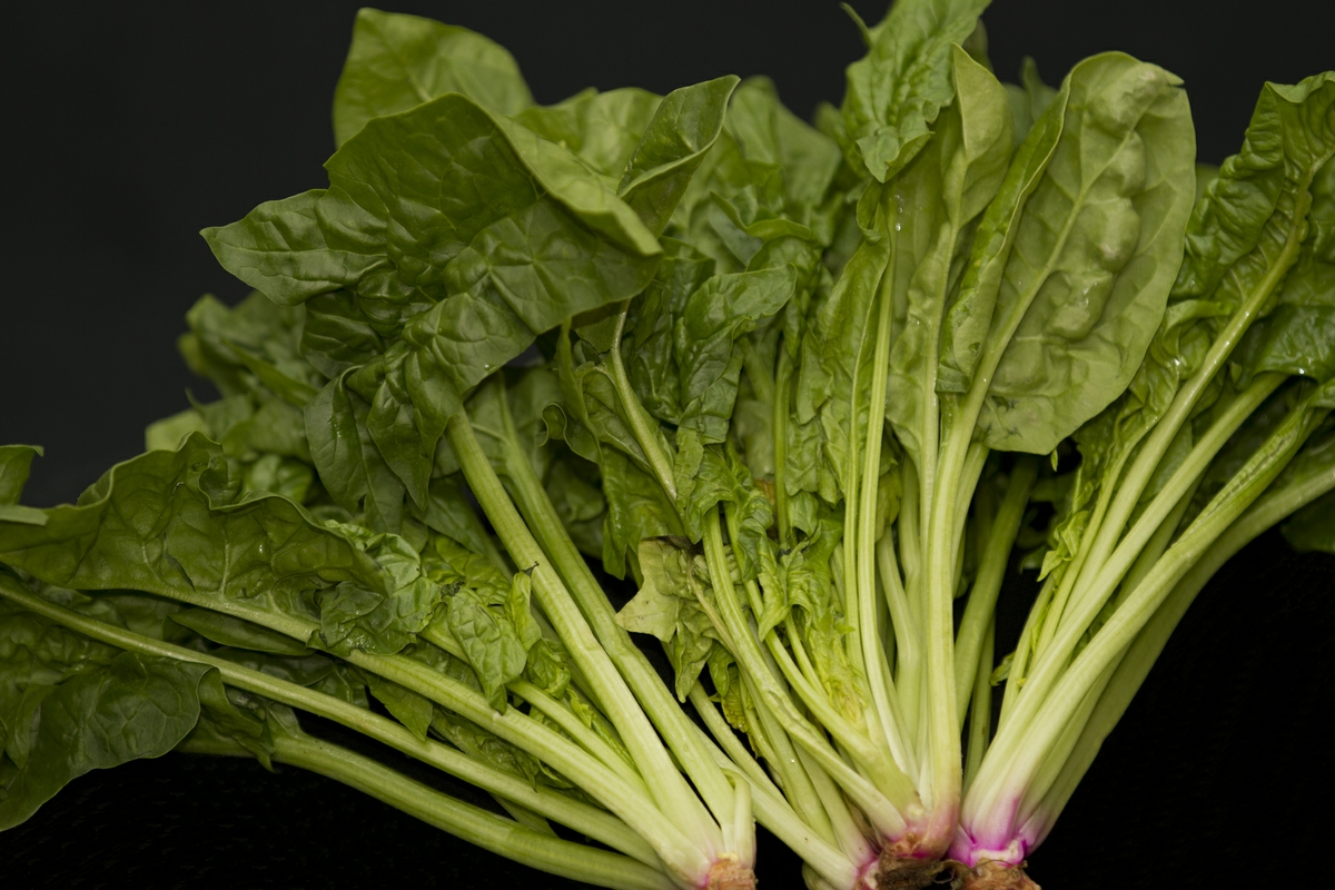 Spinach