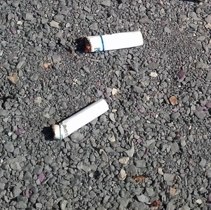 Cigarette butts