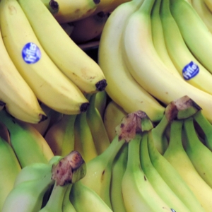 Bananas