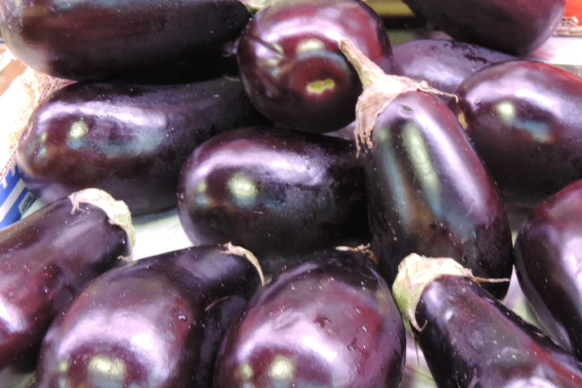 Eggplant