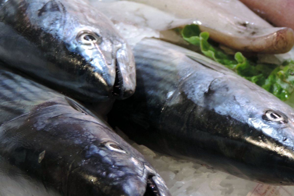 Fresh Fish on ice
