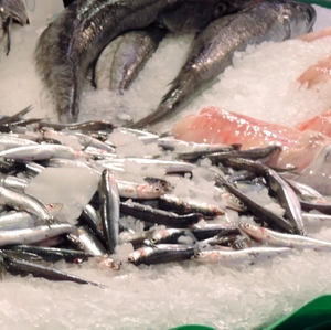 Fresh Seafood