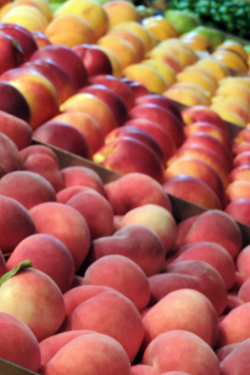 Peaches and Nectarines