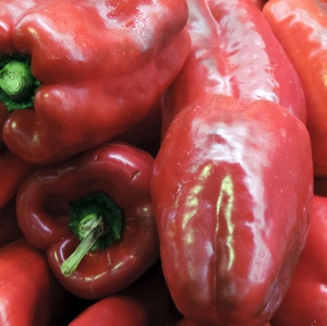 Red Bell Peppers