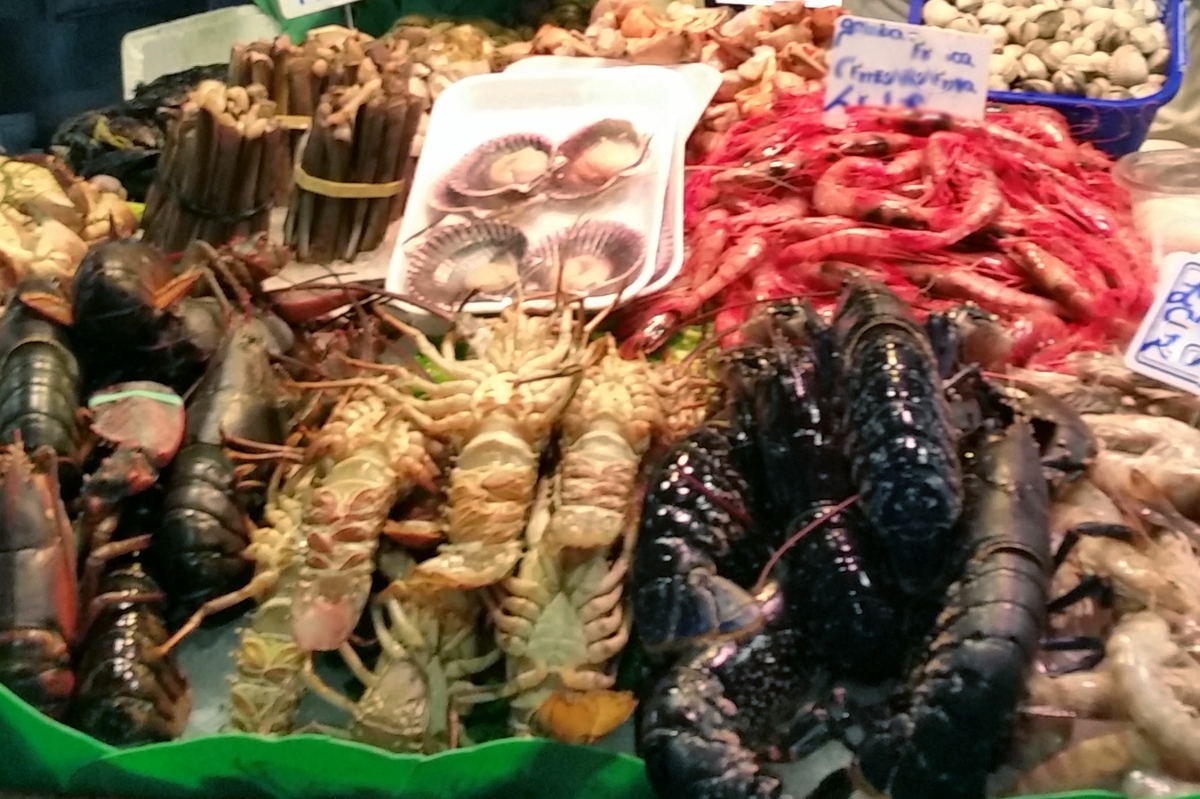 Shellfish