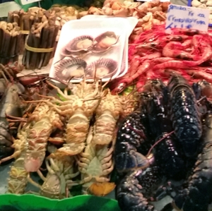 Shellfish