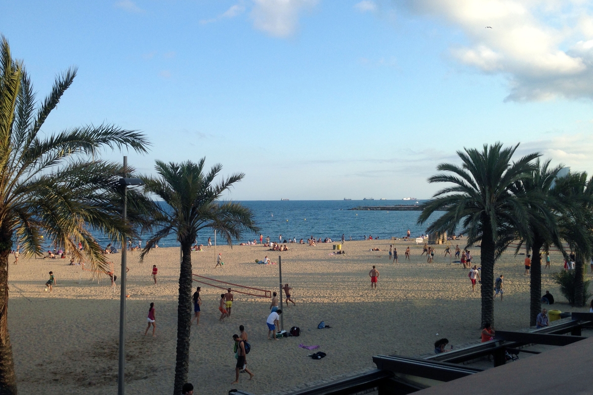 Sunning at the beach