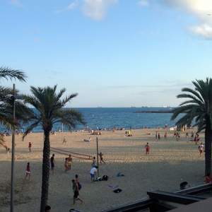 Sunning at the beach