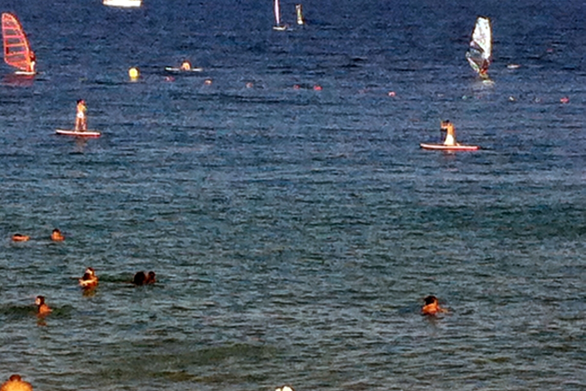 Paddle boarders