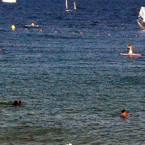 Paddle boarders