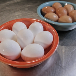 Eggs (white/brown) in bowls