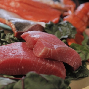 Salmon cuts - raw