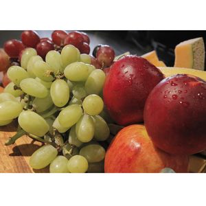 Proposed USDA rule on school meal services would be detrimental to children’s health