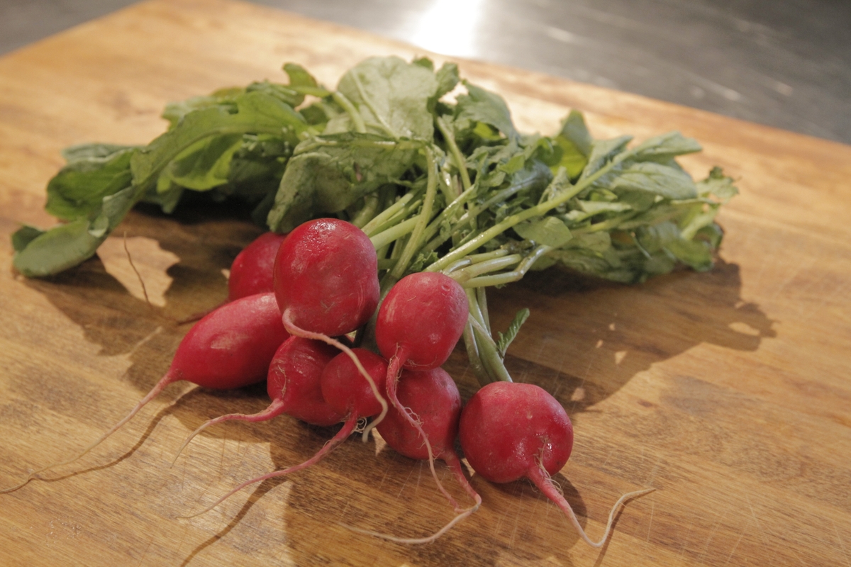 Radishes close up