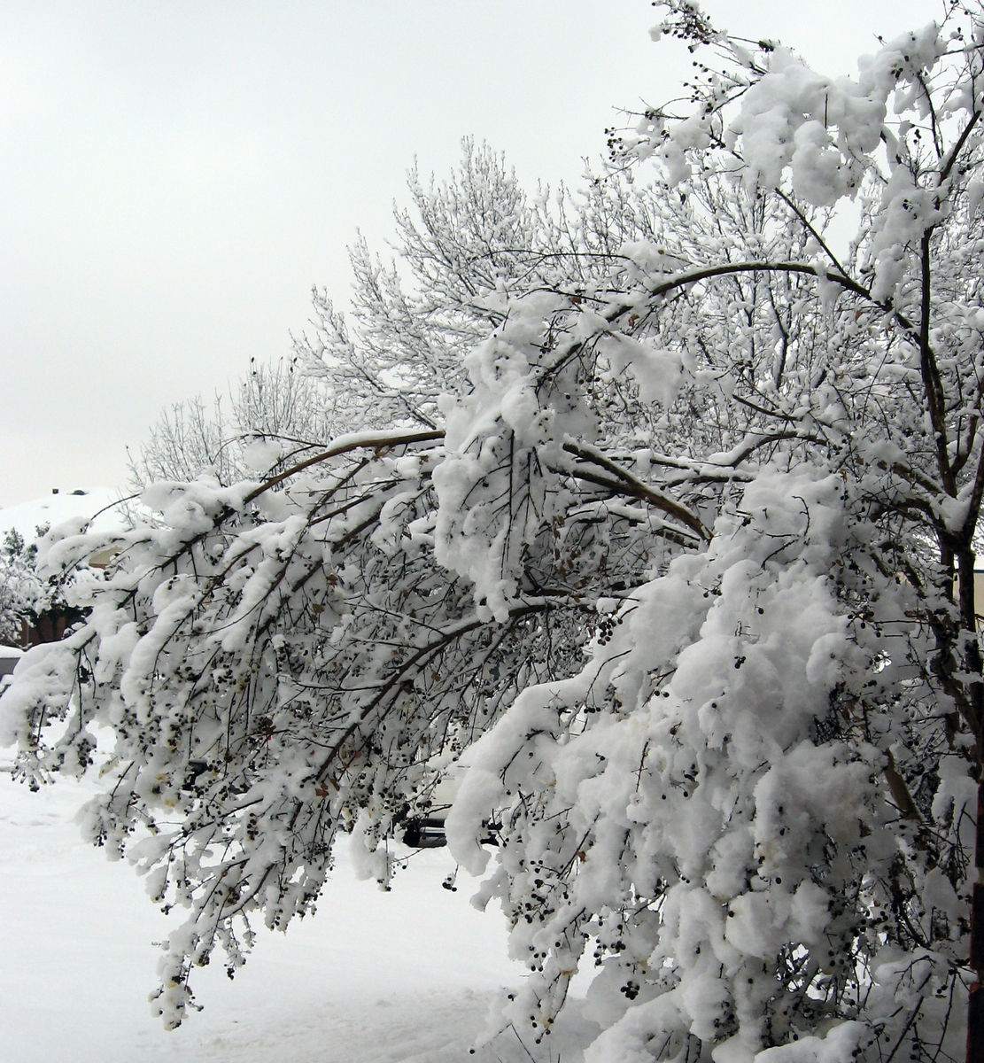 Wintertime