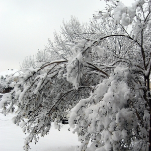 Wintertime