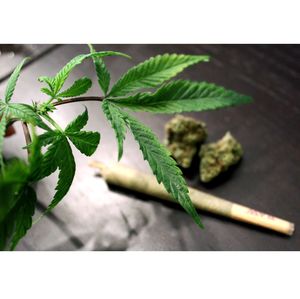 Marijuana users’ risk of deadly complication doubles after rare type of bleeding stroke