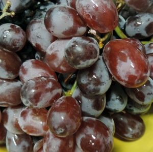red grapes (h)