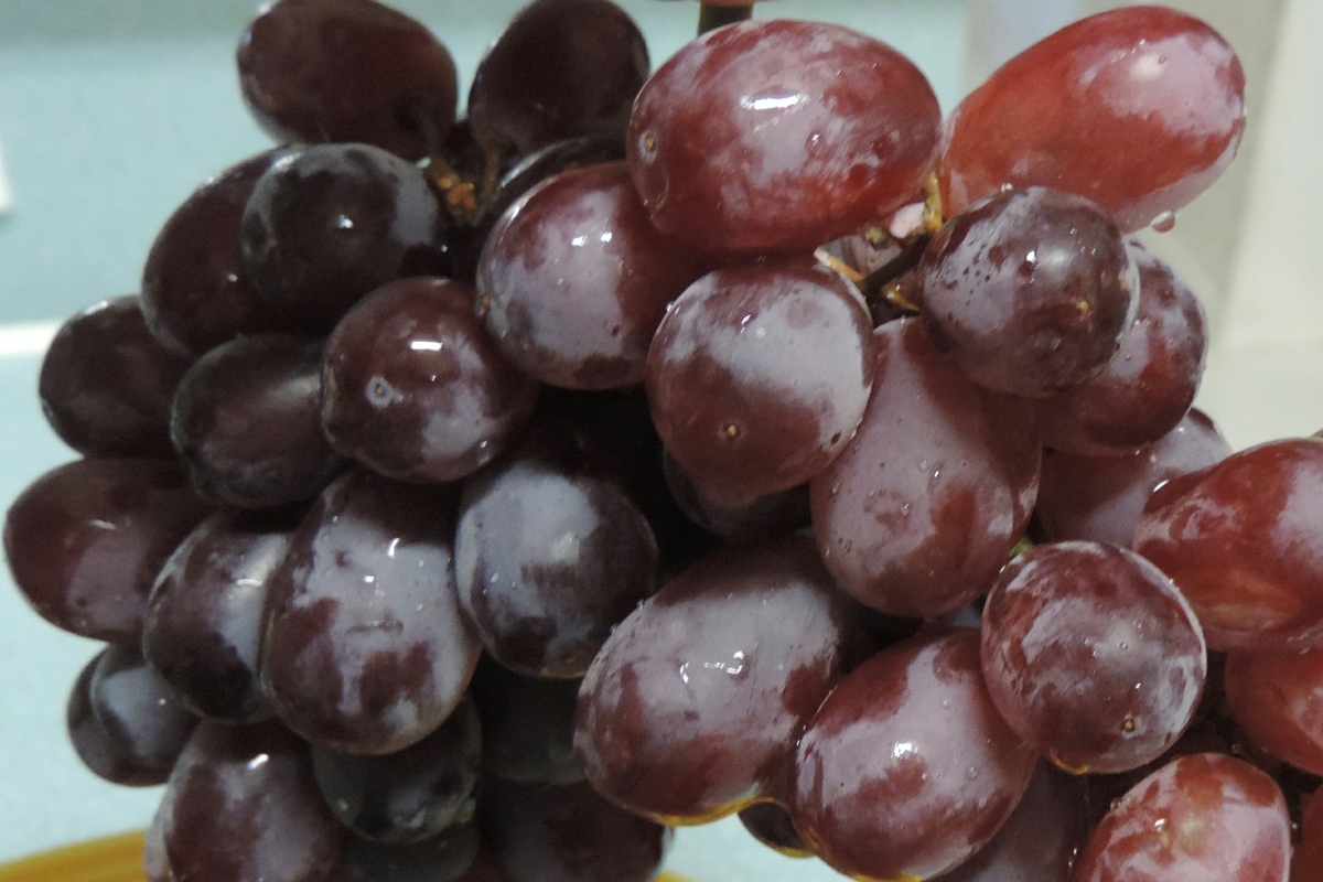 Red Grapes