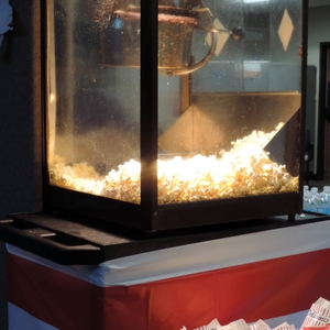 popcorn - unbuttered- no salt