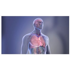 Deaths from high blood pressure-related kidney disease up nearly 50% in the past 25 years