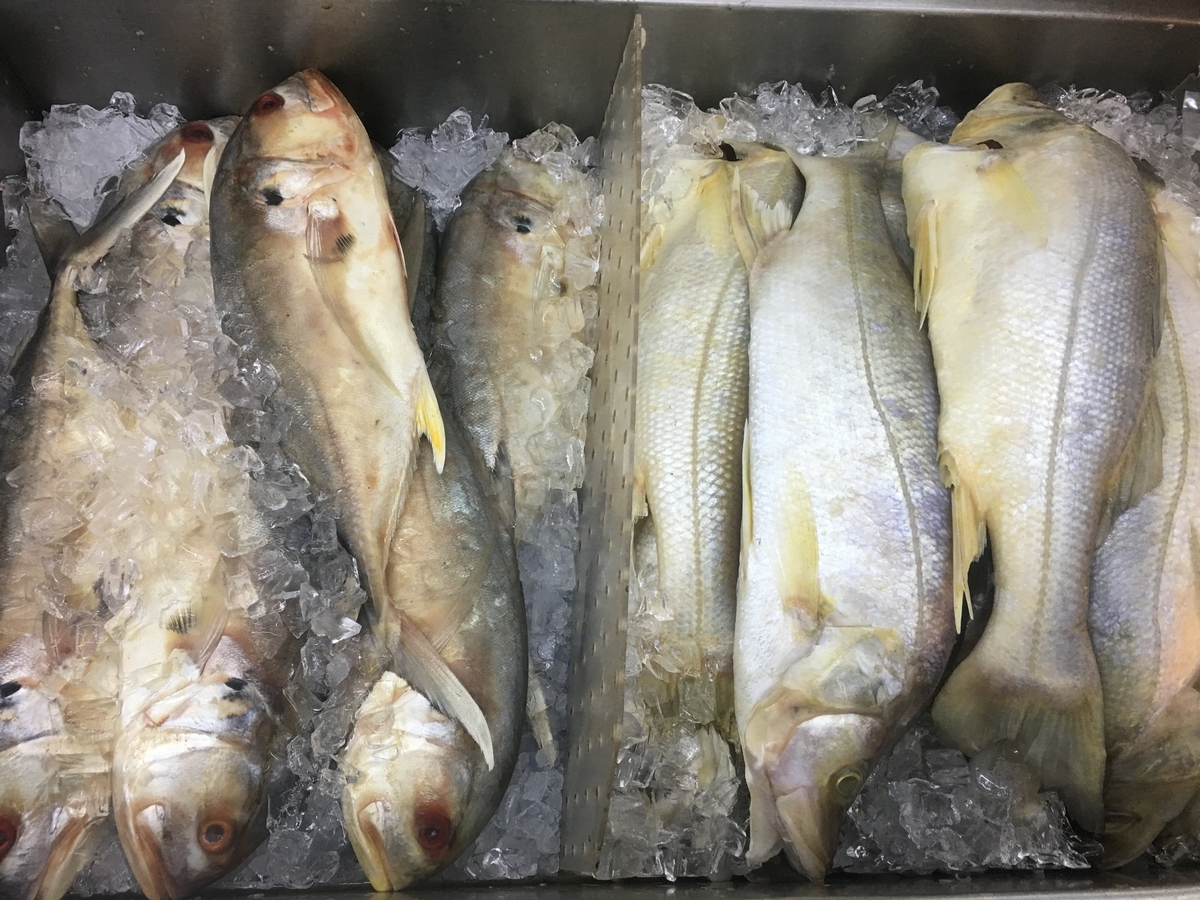 Fresh fish
