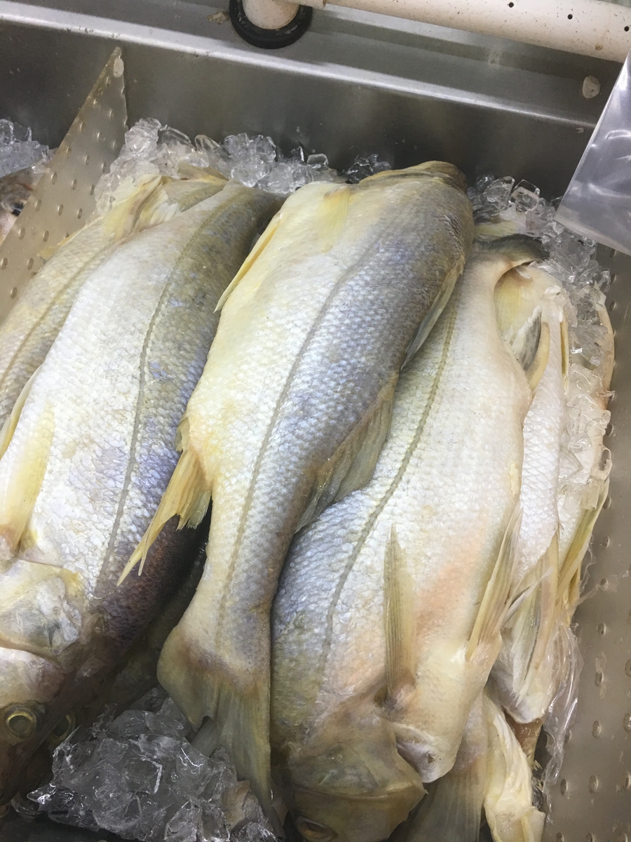 Fish on ice